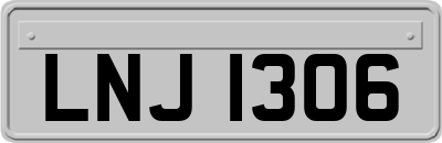 LNJ1306