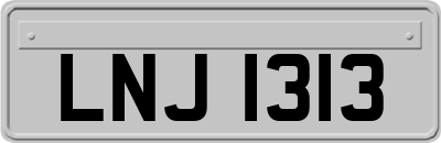 LNJ1313