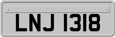 LNJ1318