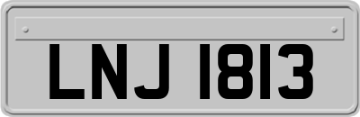 LNJ1813