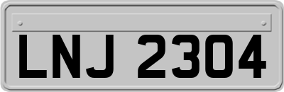 LNJ2304