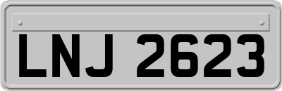 LNJ2623
