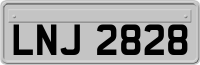 LNJ2828