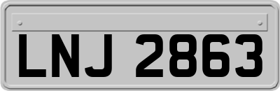 LNJ2863