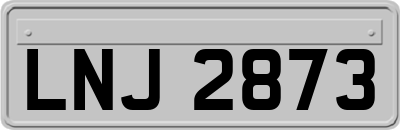 LNJ2873