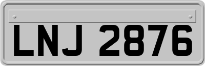 LNJ2876