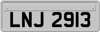 LNJ2913