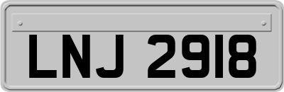 LNJ2918