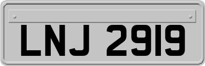 LNJ2919