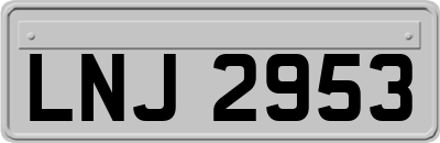 LNJ2953