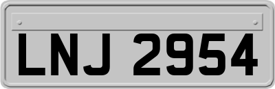 LNJ2954