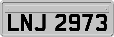 LNJ2973