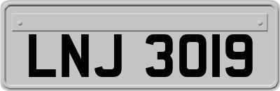 LNJ3019