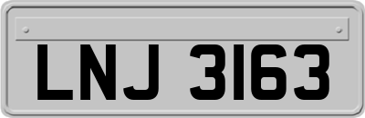 LNJ3163