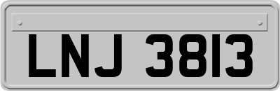 LNJ3813