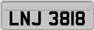 LNJ3818