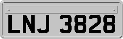 LNJ3828