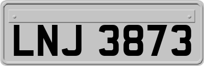 LNJ3873