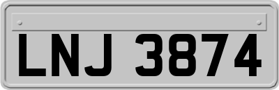LNJ3874