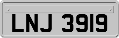 LNJ3919