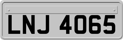LNJ4065
