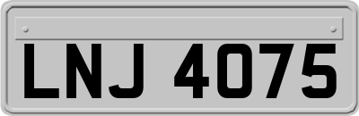 LNJ4075