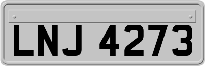 LNJ4273