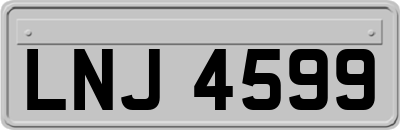LNJ4599