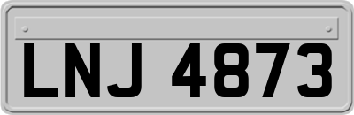 LNJ4873