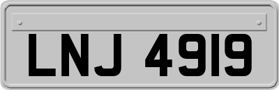 LNJ4919