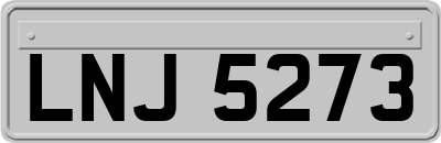 LNJ5273