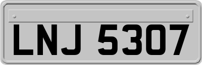 LNJ5307