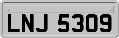 LNJ5309