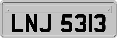 LNJ5313