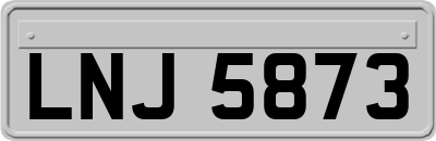 LNJ5873