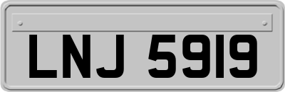 LNJ5919