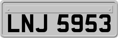 LNJ5953