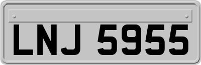 LNJ5955