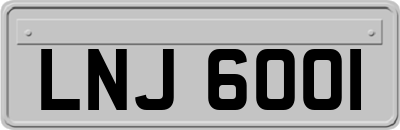 LNJ6001