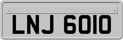 LNJ6010