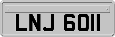 LNJ6011