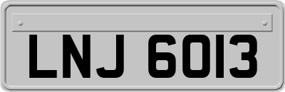 LNJ6013
