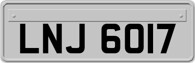 LNJ6017
