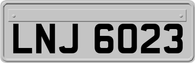 LNJ6023