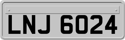 LNJ6024