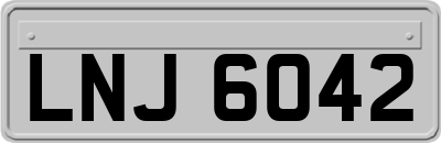 LNJ6042