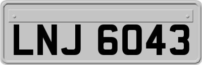 LNJ6043