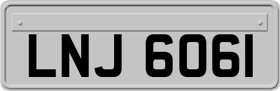 LNJ6061