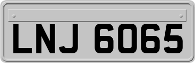 LNJ6065