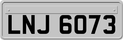 LNJ6073
